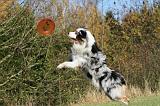 FRISBEE 024